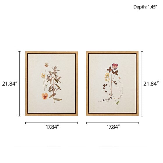 French Herbarium 2-piece Framed Canvas Wall Art Set