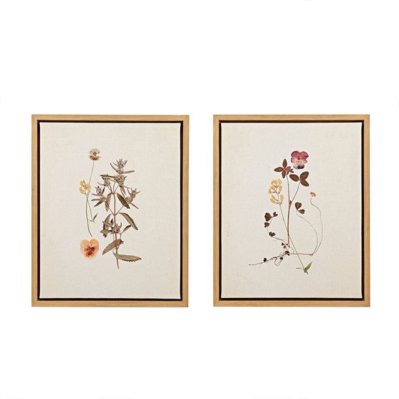 French Herbarium 2-piece Framed Canvas Wall Art Set